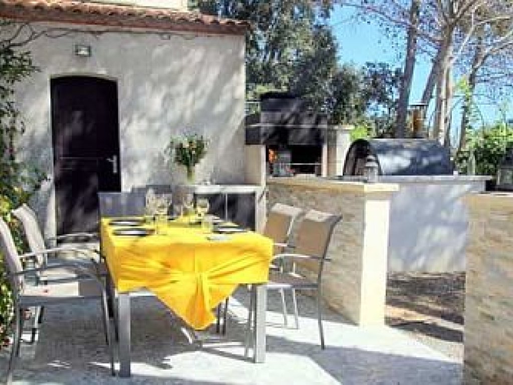 tennis-de-table-verdure-maison-chambre-hotes-montpellier