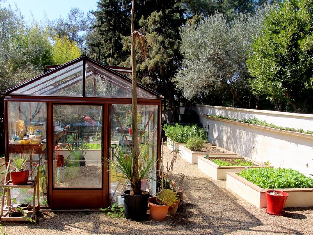 voliere-oiseaux-jardin-chambre-hotes-montpellier-montpellier